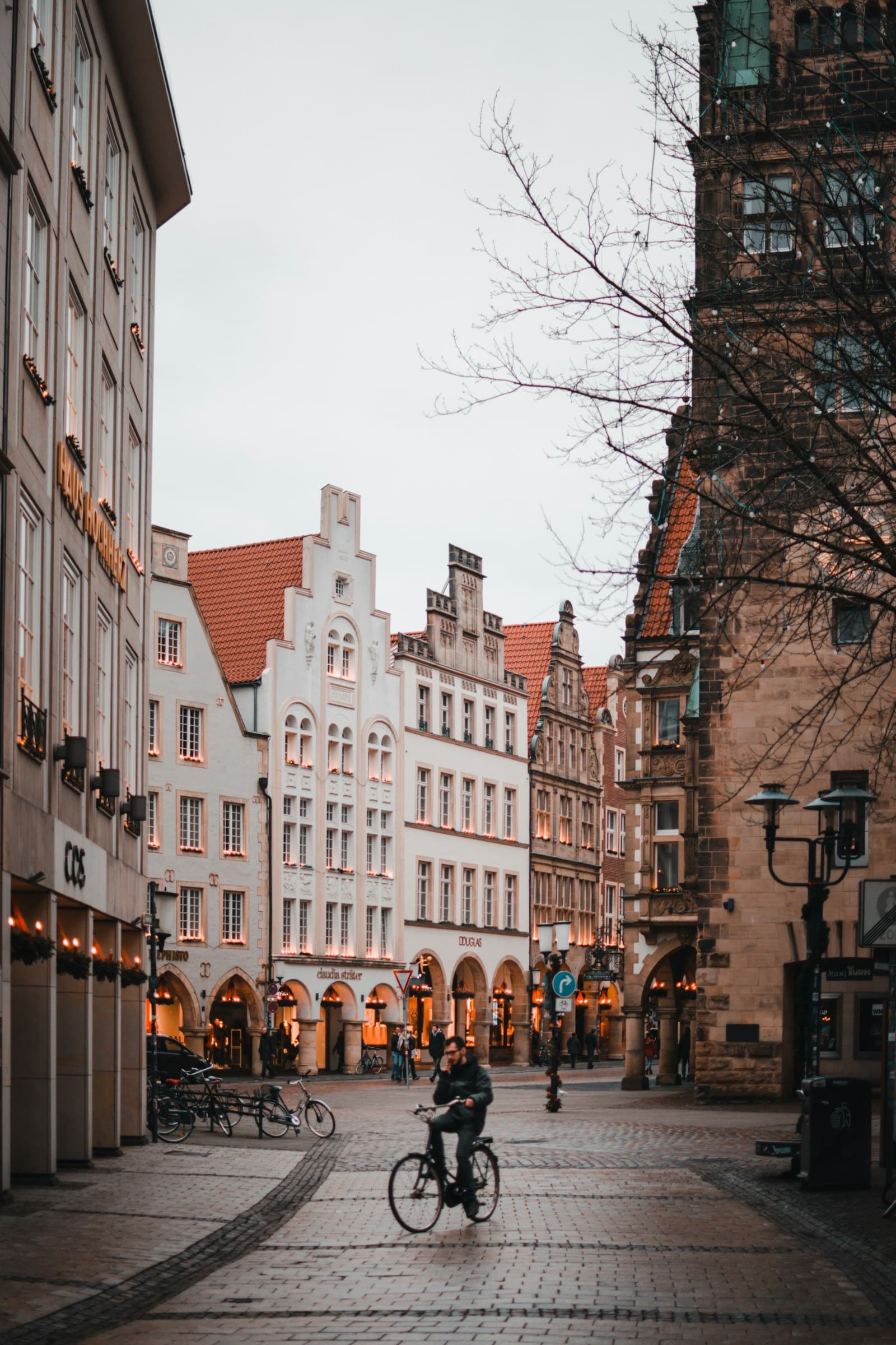 Bonn — The Rhine's former capital, quietly grand.
